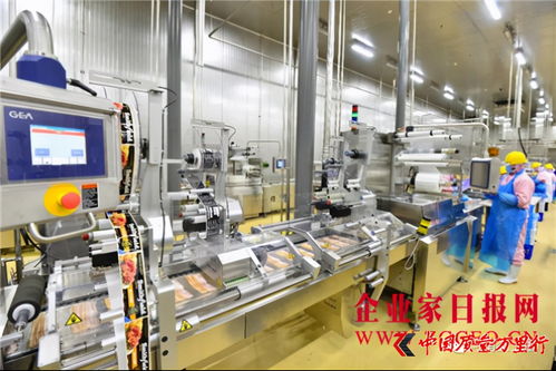 雙匯發(fā)展 完善產(chǎn)業(yè)布局，增強核心競爭力，攜手鄭州軟件推動產(chǎn)業(yè)升級